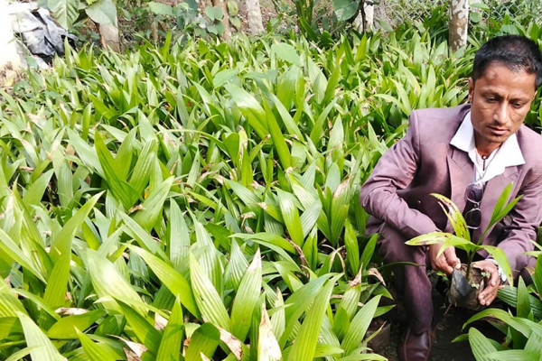 सफलताका कथा: जीवनको तस्बिर बदलेका उद्यमी भीमबहादुर